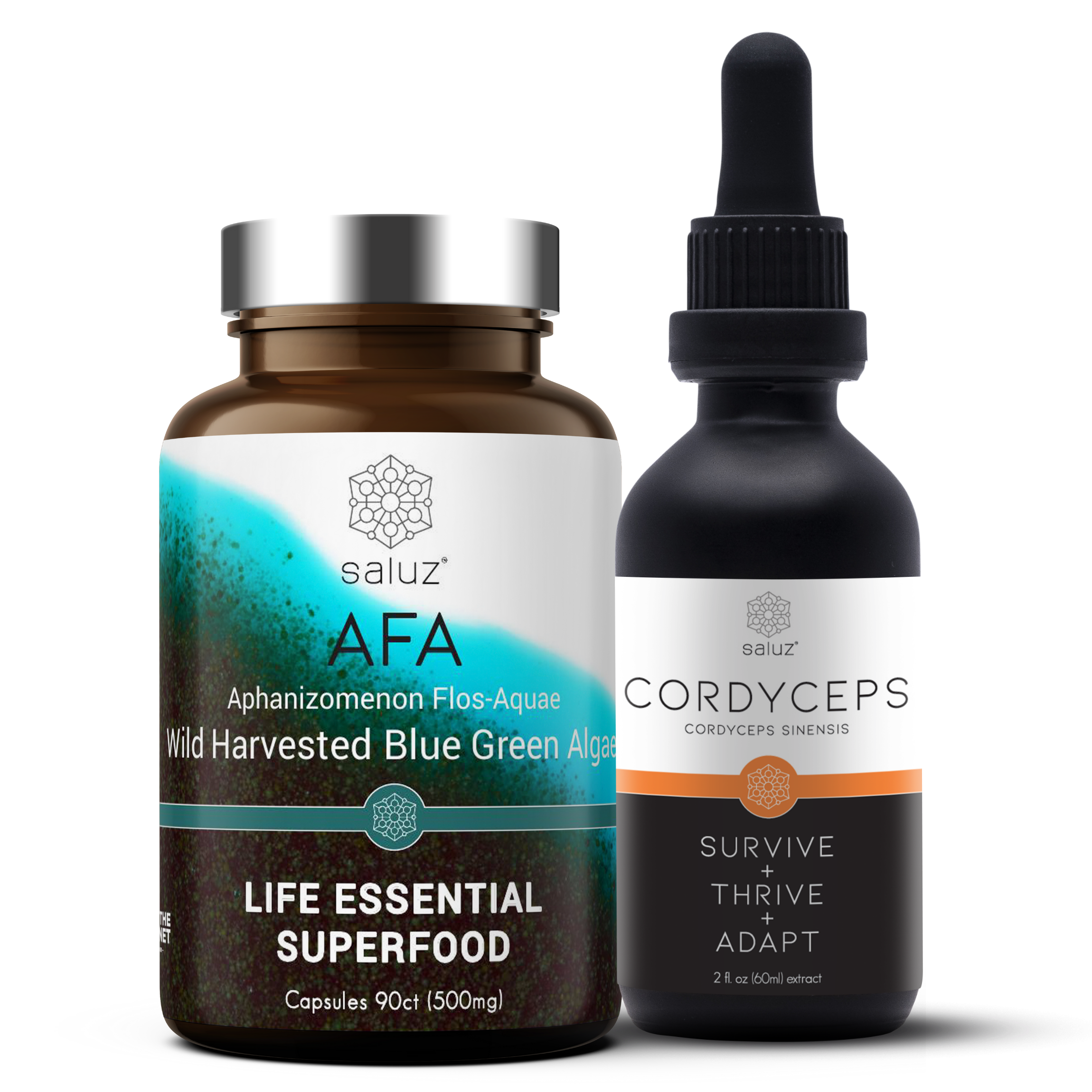 Energy + Performance + Longevity + Weight Loss Pairing